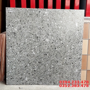 Top 258 Mẫu Gạch Đá Mờ Terrazzo 60x60 Cao Cấp