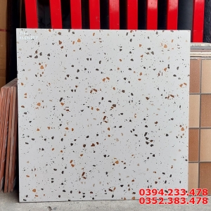 Gạch Ốp lát Tezzarro 60x60 Cao Cấp 