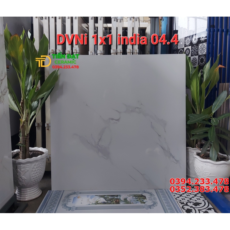 Tổng Kho Gạch Ấn Độ 100x100 Ốp Lát Tại HCM
