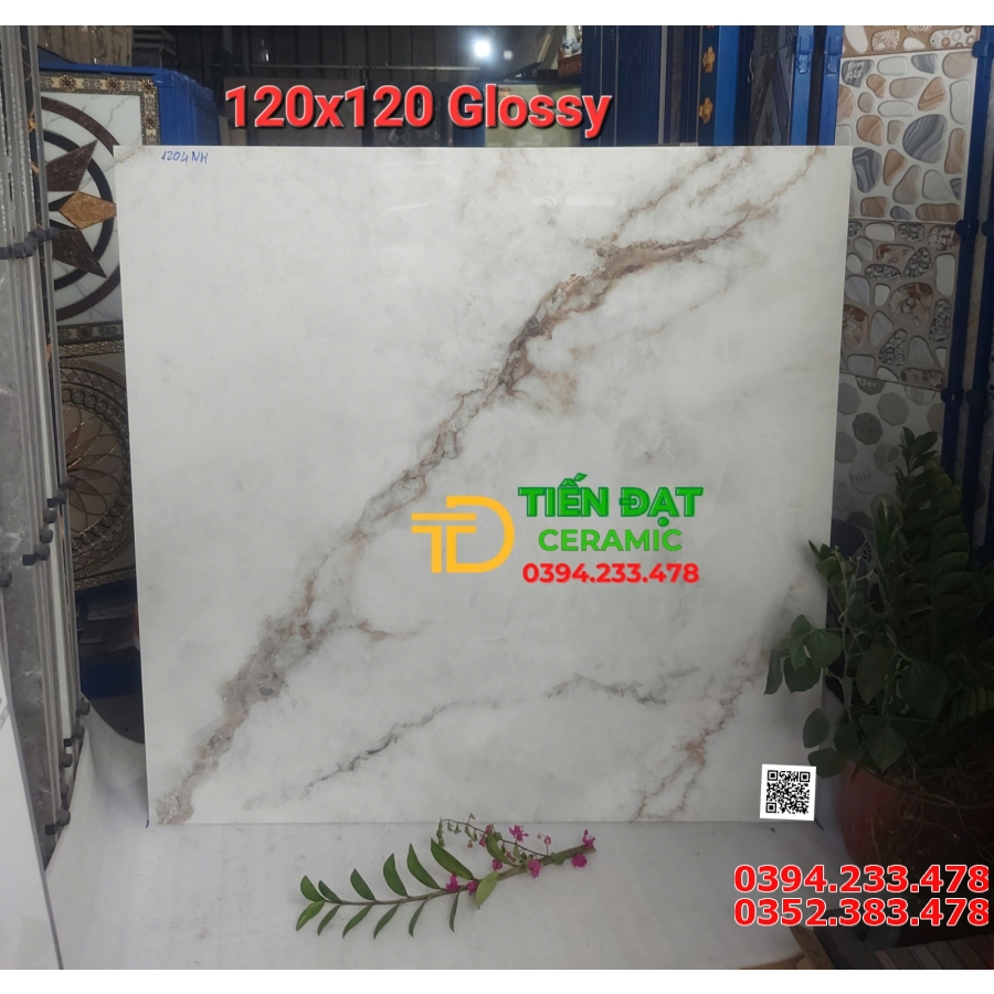 Tốp 685 Mẫu Gạch Khổ Lớn 120x120 Đá Bóng Kiếng Vi Tinh