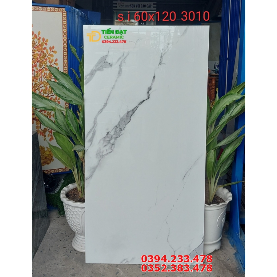 Đá Granite 60x120 Trắng Vân Đen Ốp Tường