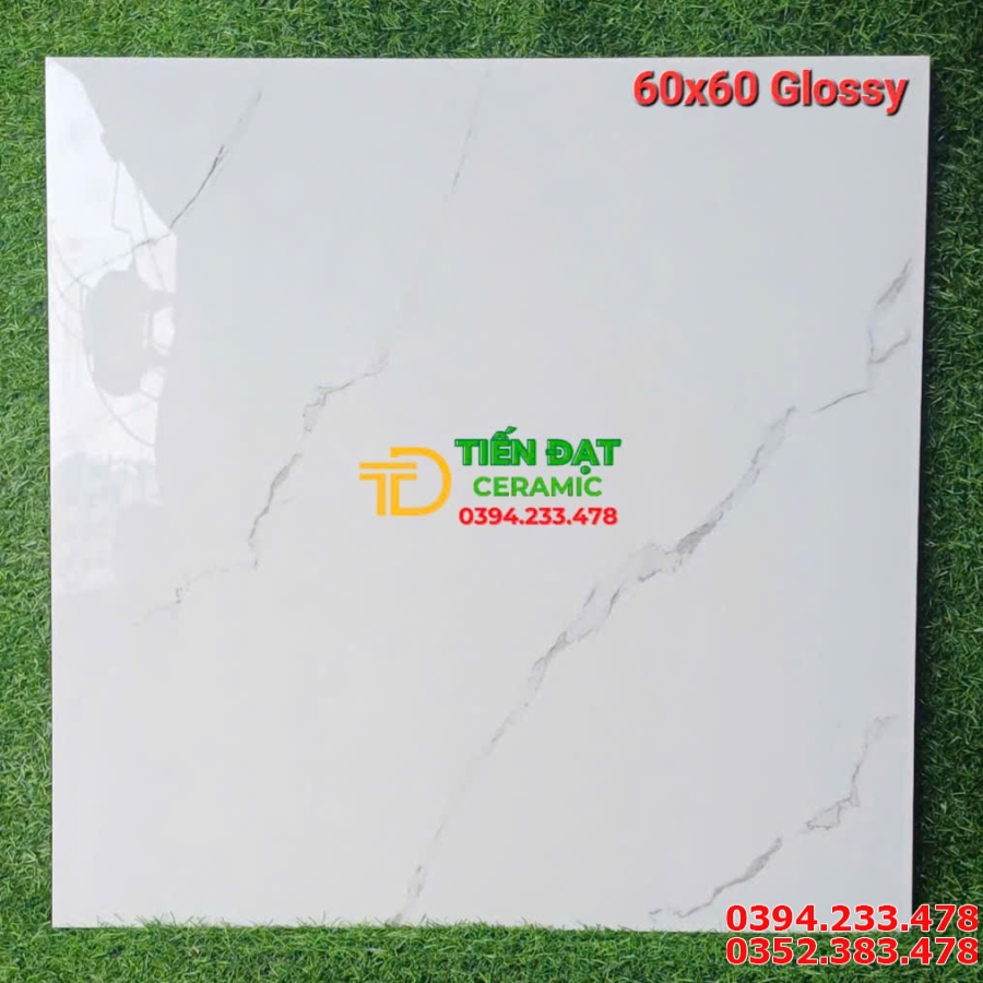 Gạch Bóng Kiếng 60x60 Trắng Vân Mẫu Mới Giá Rẻ