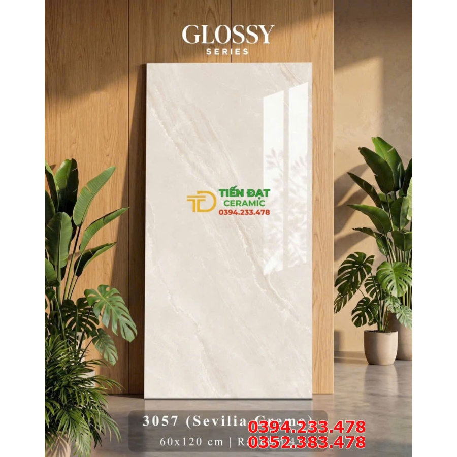 Gạch Bóng Kiếng Kim Cương 60x120 Ốp Lát Mẫu Mới