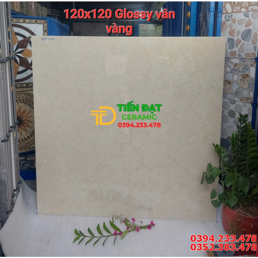 Gạch Ốp Lát 120x120 Nhập Khẩu Trắng Xám Nhạt Giả Đá