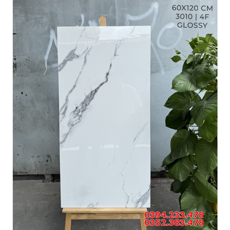 Gạch Cao Cấp 60x120 Trắng Vân Đen Mẫu Mới
