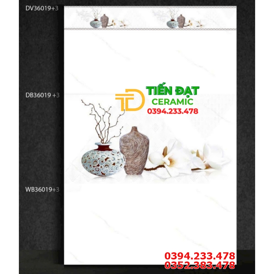 Gạch Ốp Đậm Nhạt 30x60 Tại Tây Ninh Giá Rẻ Nhất