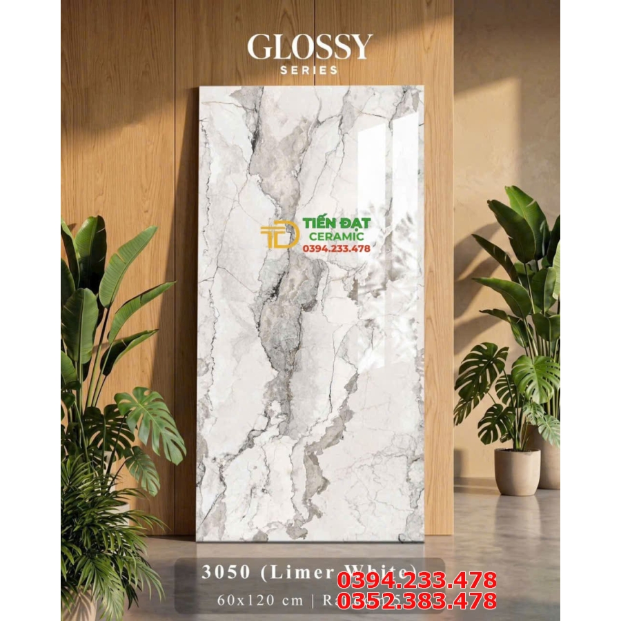Gạch Khổ Lớn 60x120 Lát Nền Phòng Khách Cao Cấp