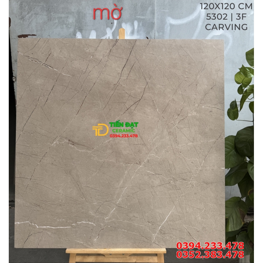 Gạch Khổ Lớn Ấn Độ 120x120 Đá Mờ Carving Cao Cấp 