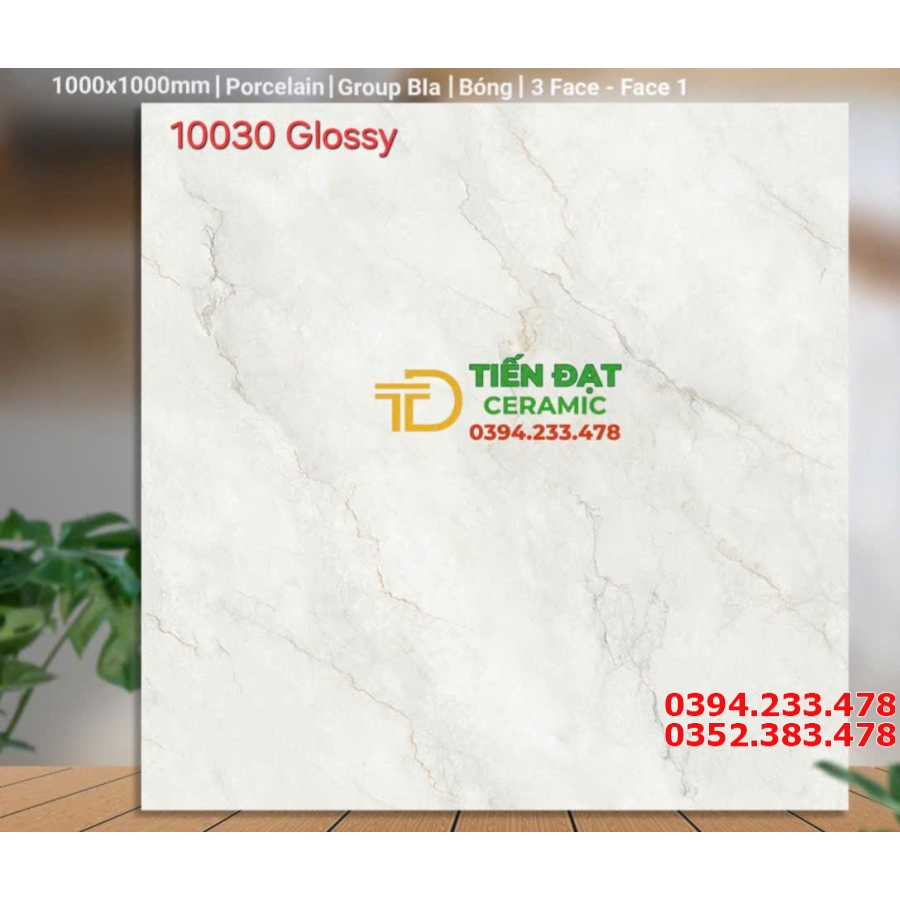 Tổng Kho Gạch Catalan 100x100 Lớn Nhất Miền Nam