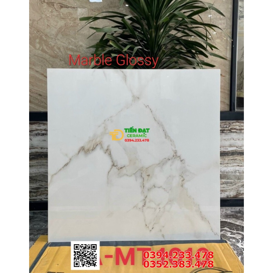 Gạch Ốp Tường Khổ Lớn 100x100 Trắng Vân Vi Tinh