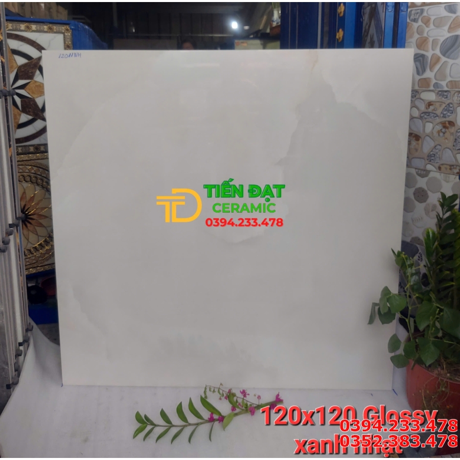 Gạch Nhập Khẩu Ấn Độ 120x120 Trắng Vân Khói Mới Nhất