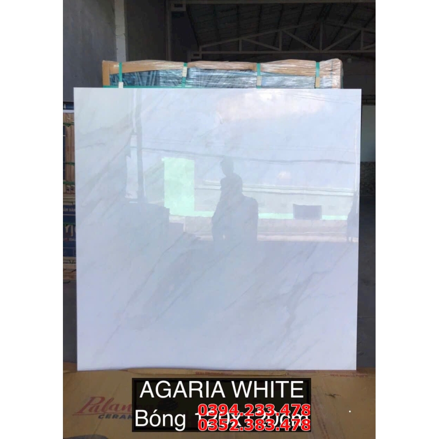 Top 698 Mẫu Gạch Khổ Lớn 120x120 Ấn Độ Bóng Kiếng