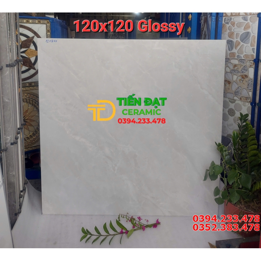 Gạch Lát Phòng Khách 120x120 Đá Bóng Kiếng Vi Tinh 