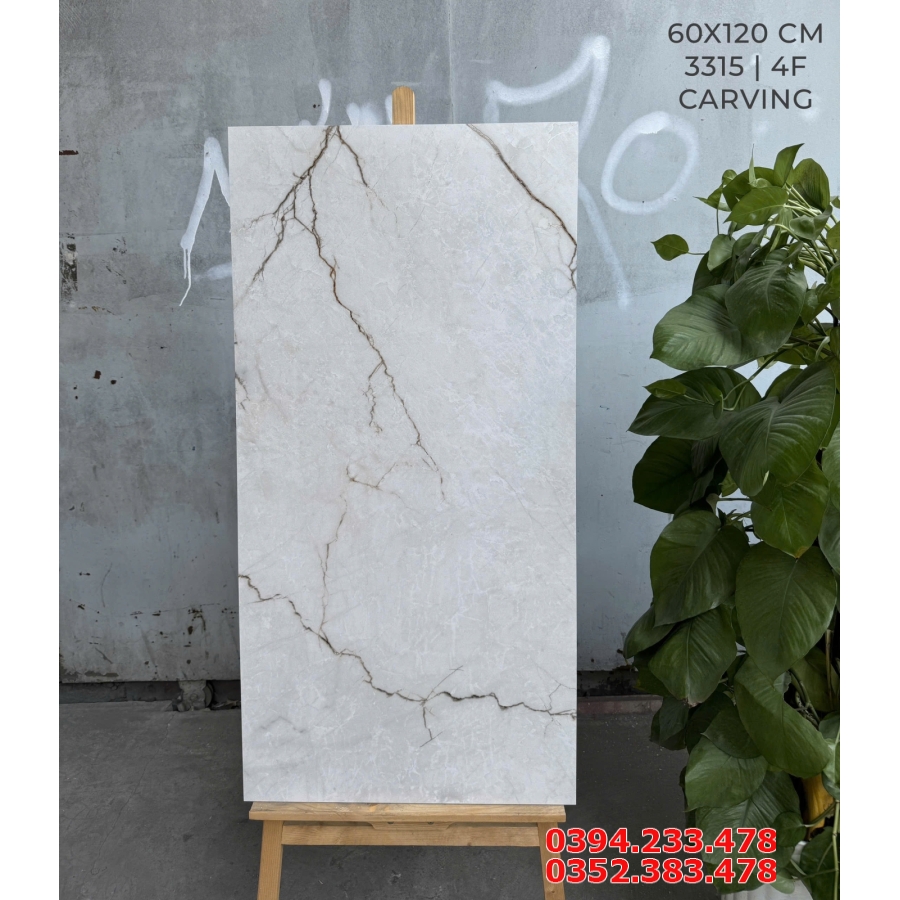 Gạch Marble 60x120 Ốp Lát Phòng Bếp Mờ Carving