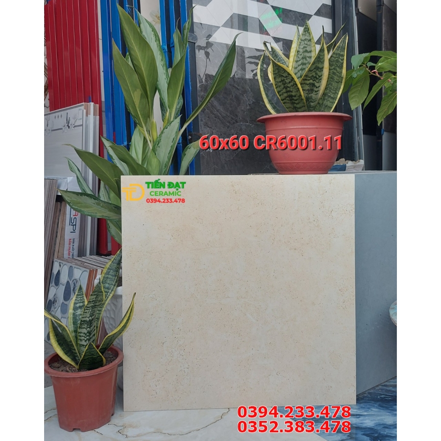 Gạch Mờ Cao Cấp 60x60 Vân Vàng Carving