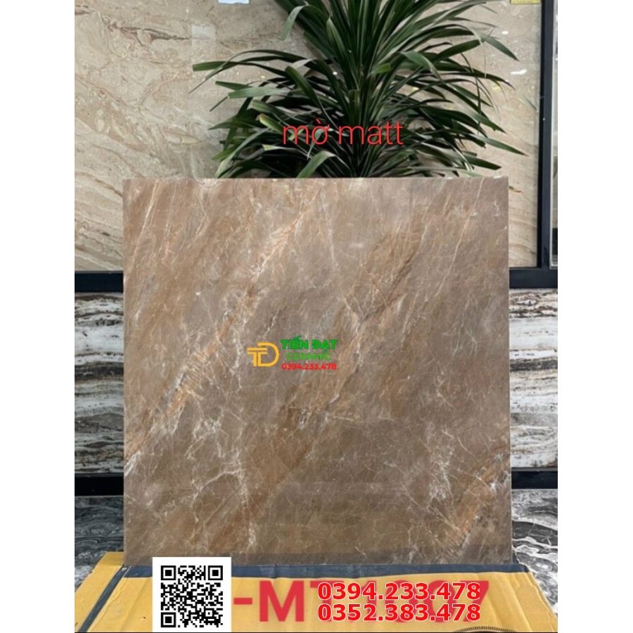 Gạch Mờ Matt 100x100 Nhập Khẩu Ấn Độ Mẫu Mới 