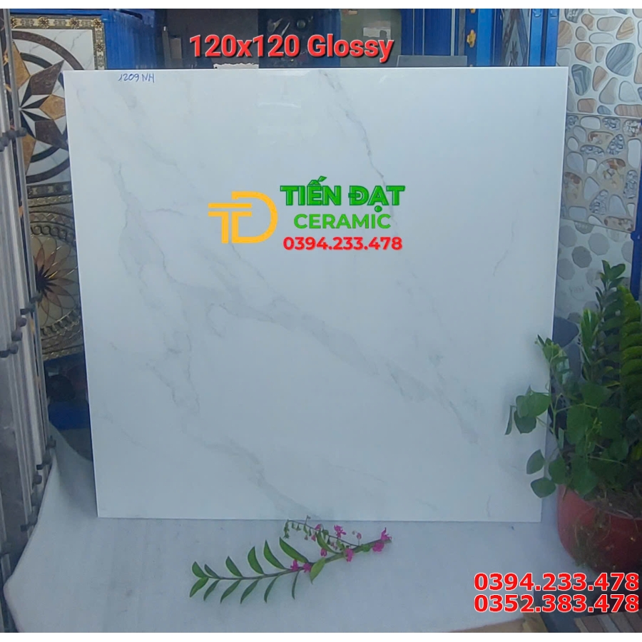 Gạch Nhập Khẩu Ấn Độ 120x120 Trắng Vân Khói Mới Nhất