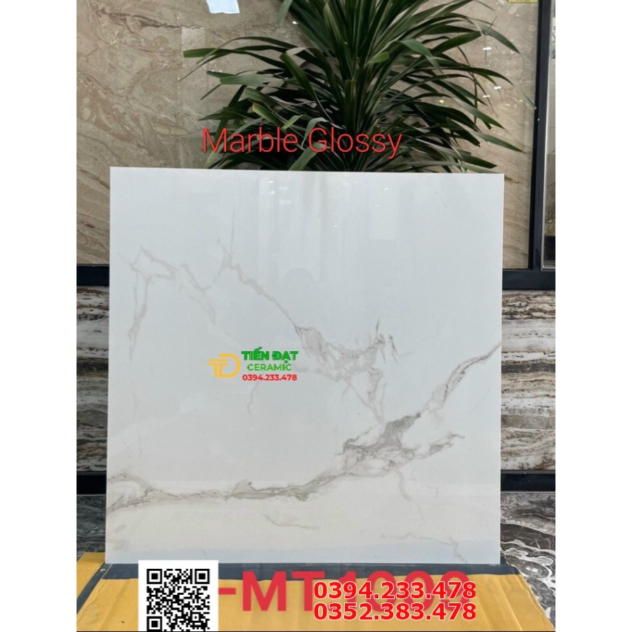 Gạch Ốp Tường Khổ Lớn 100x100 Trắng Vân Vi Tinh