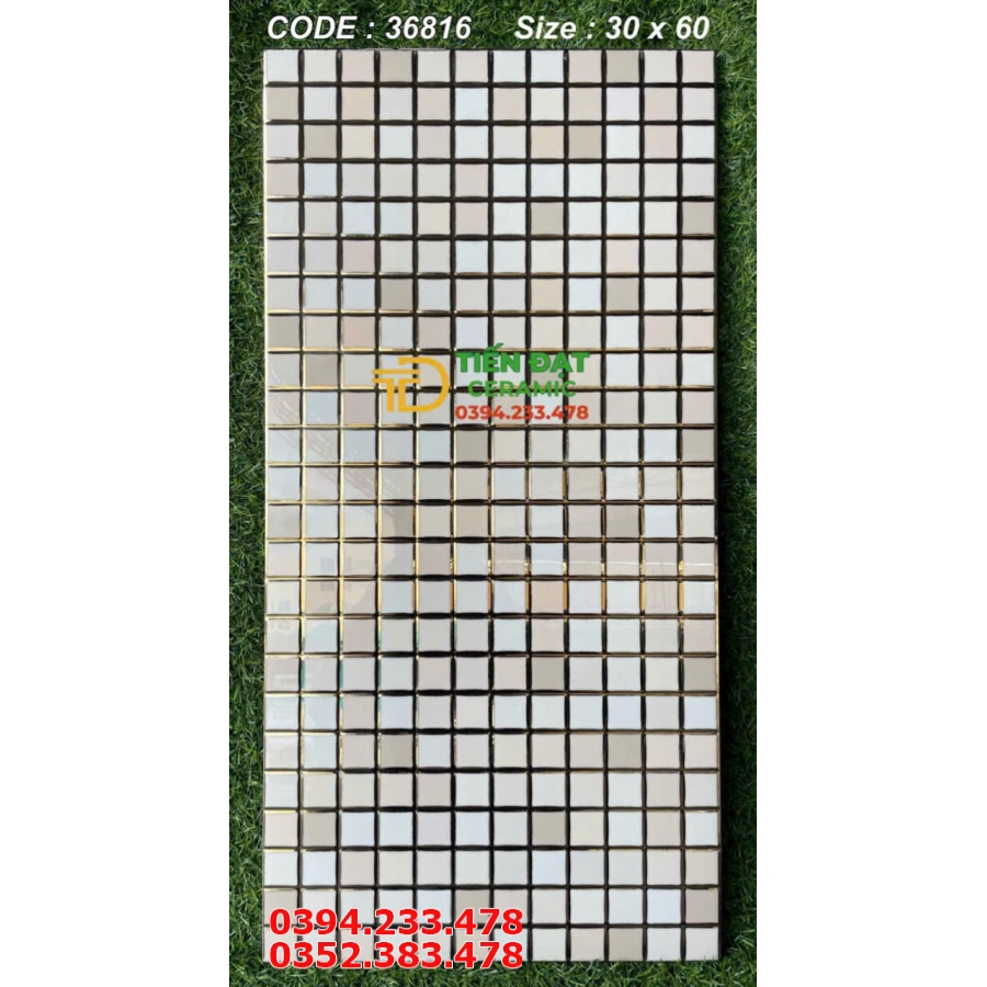 Gạch Trang Trí 30x60 TQ Ốp Nhà Tắm Bể Bơi Khắc Kim