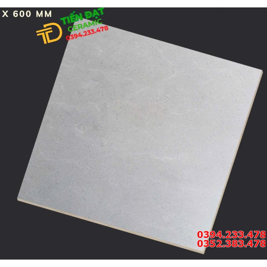Gạch Đá Mờ Apodio 60x60 Ốp Lát Phòng Khách