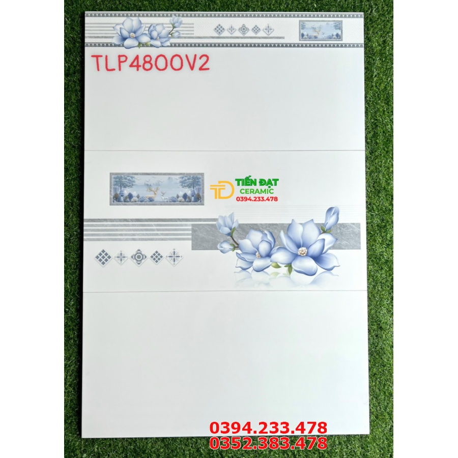 Kho Gạch Ốp Tường 40x80 Trắng Bóng Tại Bình Tân