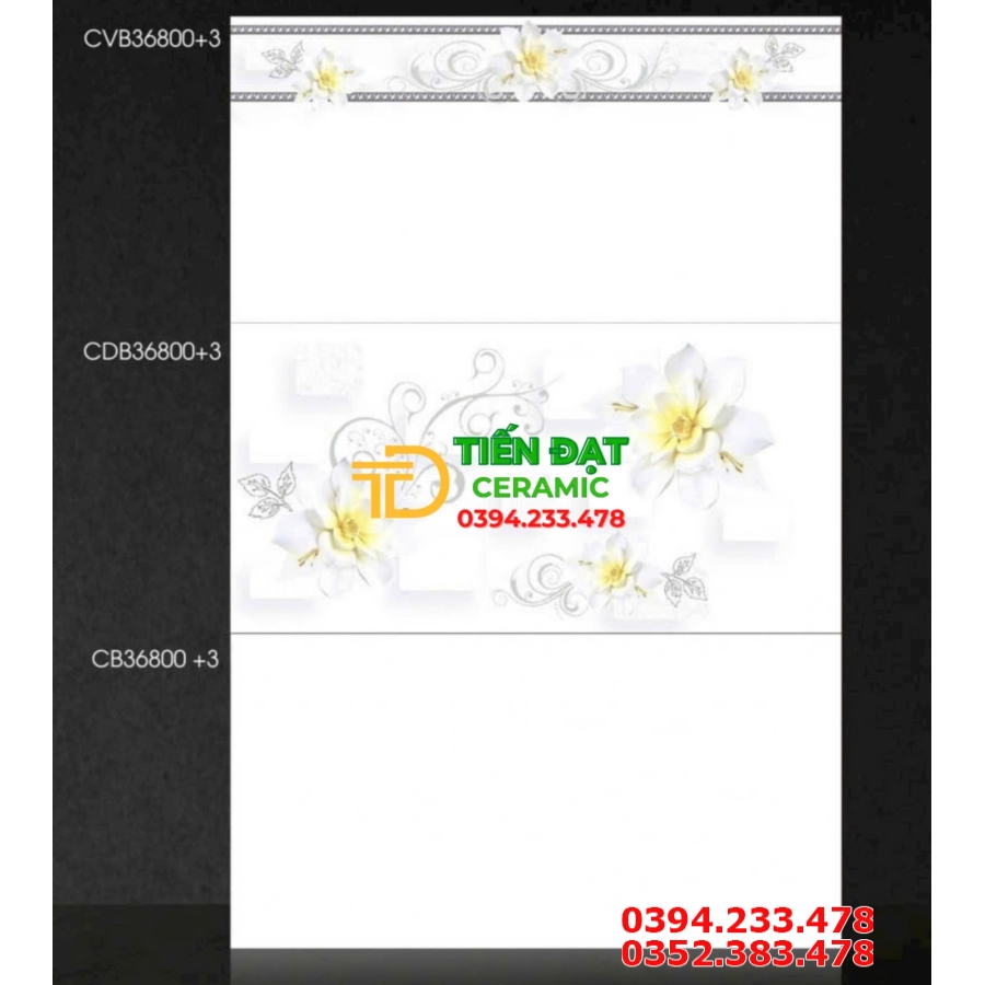 Kho Gạch Ốp Tường TTC 30x60 Tại Bình Phước