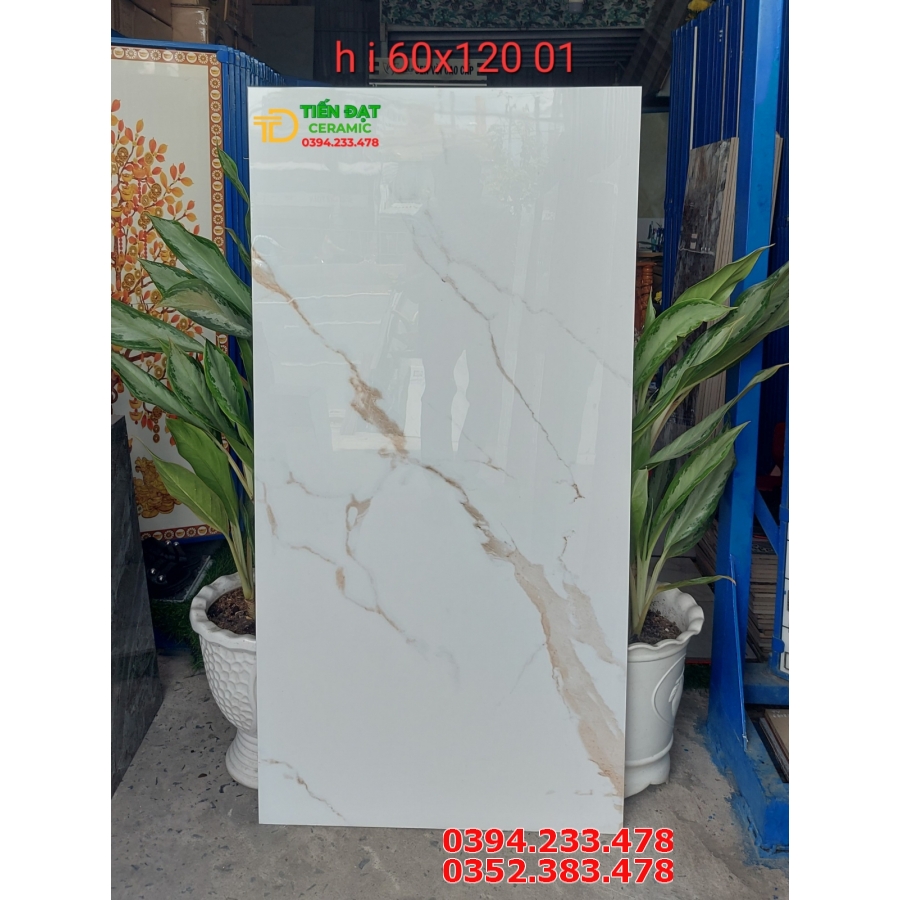 Tổng Hợp 168 Mẫu Gạch 60x120 Trắng Vân Vàng 