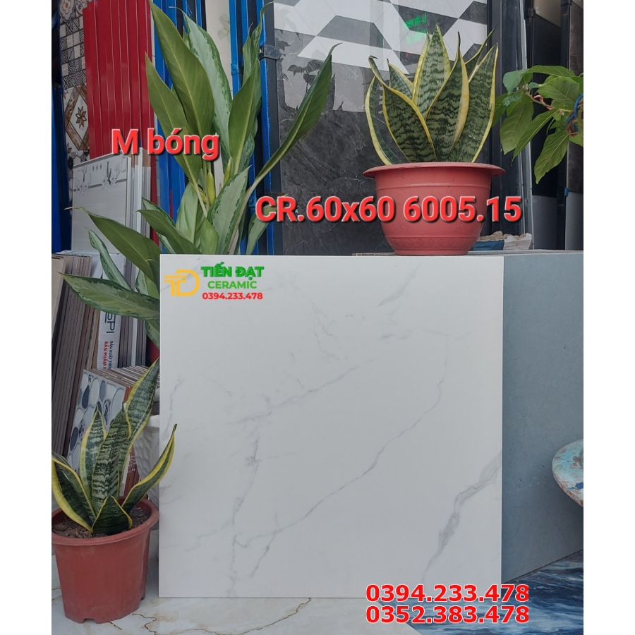 Gạch Mờ Cao Cấp 60x60 Vân Vàng Carving