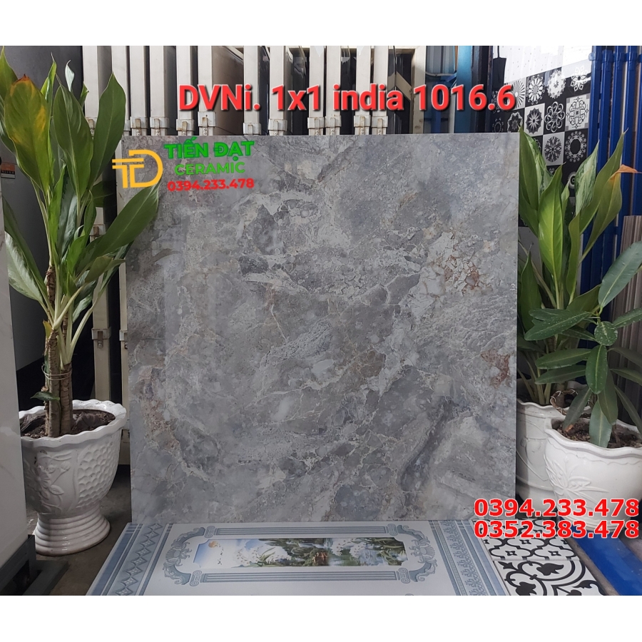 Tổng Kho Gạch Ấn Độ 100x100 Ốp Lát Tại HCM