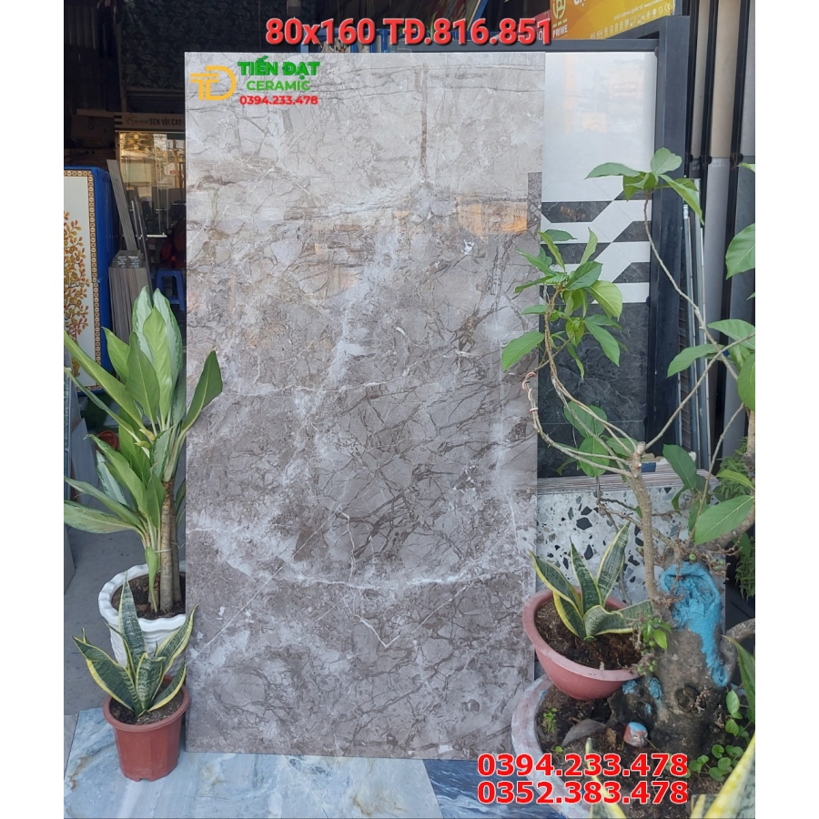 Tổng Kho Gạch Ấn Độ 80x160 Lát Nền Cao Cấp 