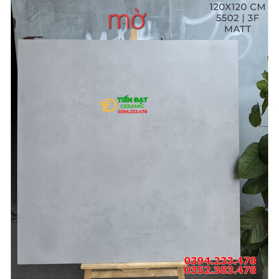 Gạch Khổ Lớn Ấn Độ 120x120 Đá Mờ Carving Cao Cấp 