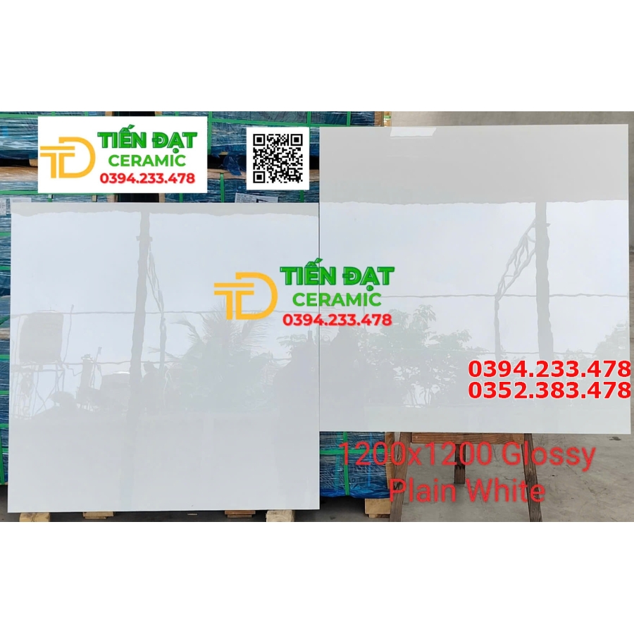 Tổng Kho Gạch Khổ Lớn Ấn Độ 120x120 Trắng Trơn Vi Tinh