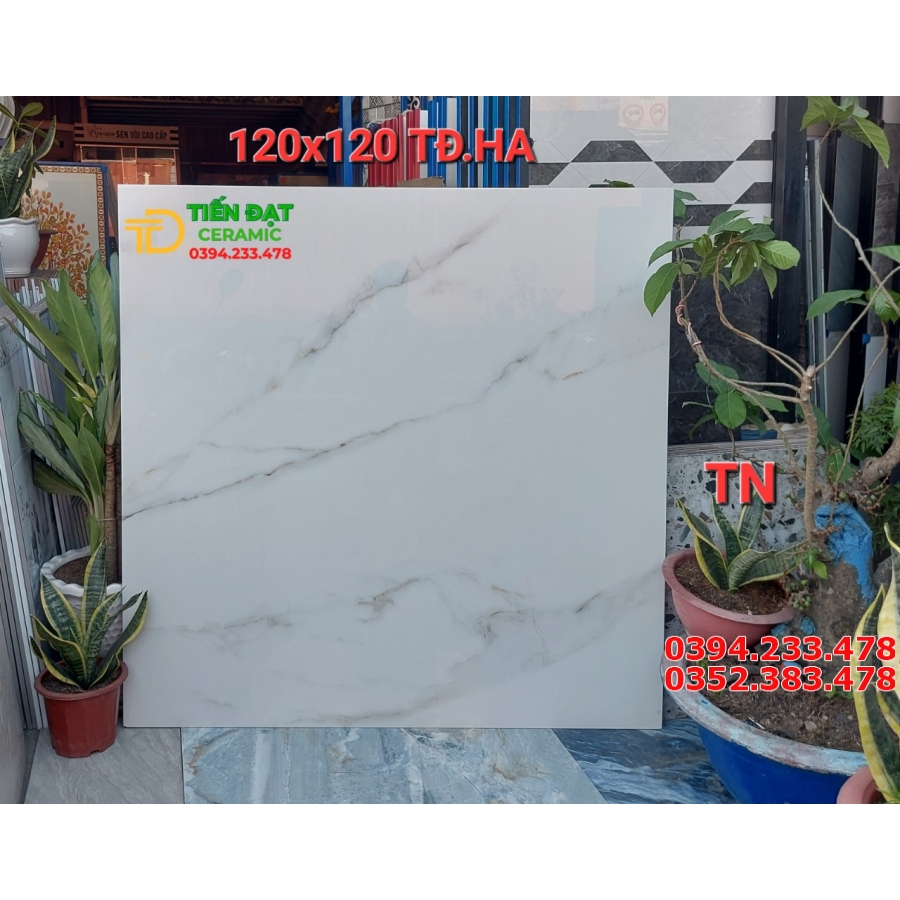Nơi Chuyên Bán Gạch Ốp Lát Khổ Lớn 120x120 Bóng Kiếng