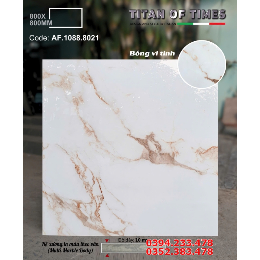 Tổng Kho Gạch Lát Nền 80x80 Apodio Tại Miền Nam