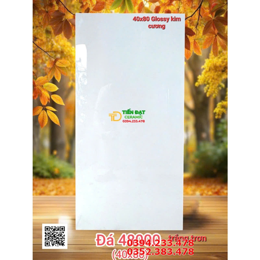 Tổng Kho Gạch Ốp Lát 40x80 Trung Quốc Tại Miền Nam