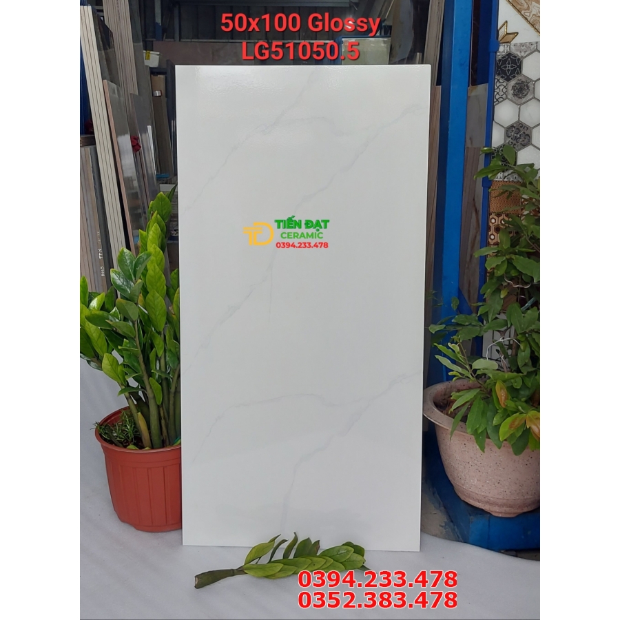 Tổng Kho gạch Ốp Lát Khổ Lớn Prime 50x100 Cao Cấp