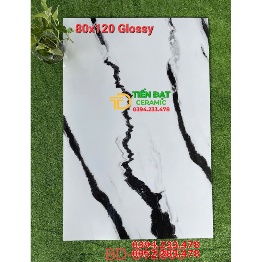 Tổng Kho Gạch Ốp Lát Tasa 80x120 Trắng Vân Đen Tại HCM