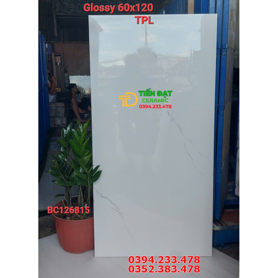 Tổng Kho Gạch Ốp Lát Vicera 60x120 Trắng Vân Cao Cấp