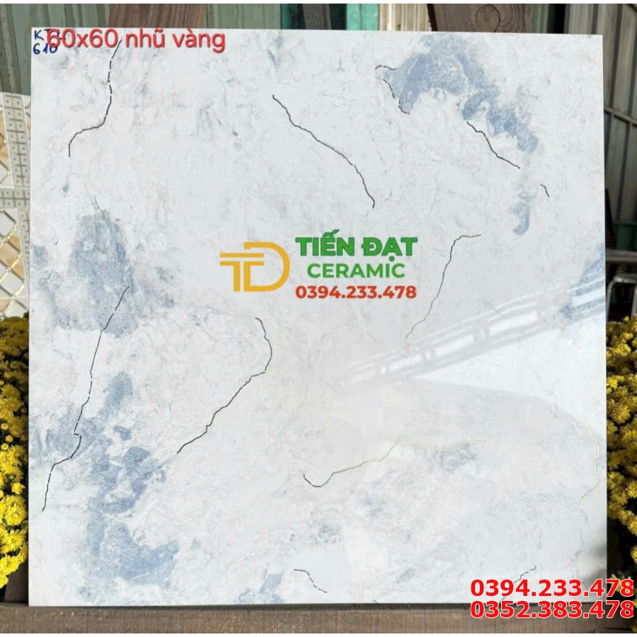 Tổng Kho Gạch TQ 60x60 Trắng Xanh Nhạt Nhũ Vàng Tại Miền Nam