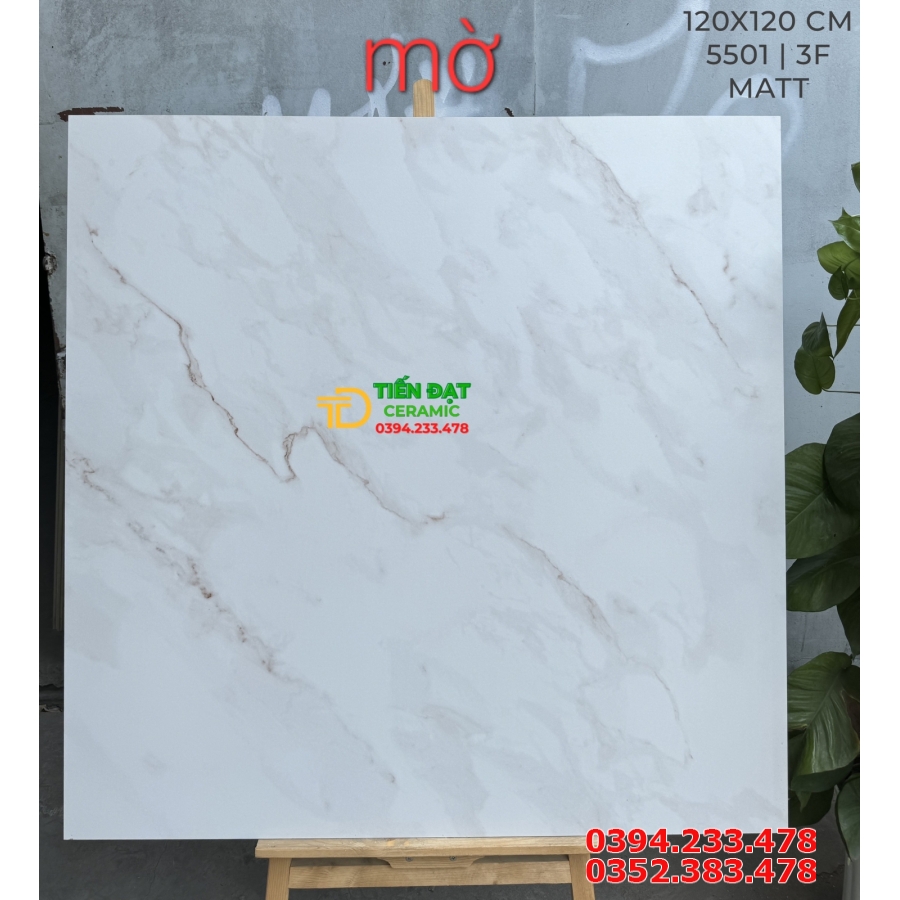 Top 293 Mẫu Gạch Lát Nền Phòng Khách 120x120 Đá Mờ Matt