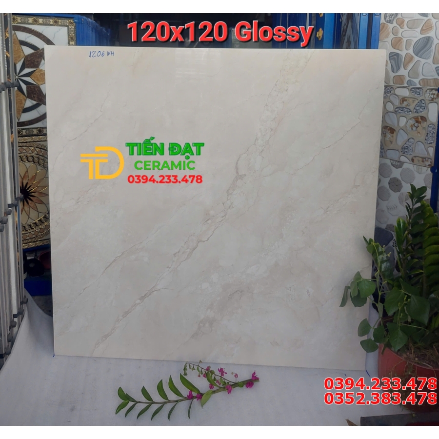 Tốp 685 Mẫu Gạch Khổ Lớn 120x120 Đá Bóng Kiếng Vi Tinh