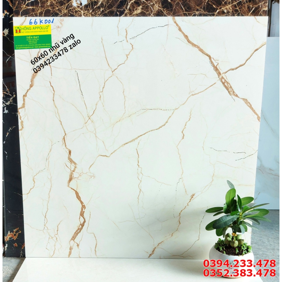 Gạch Cao Cấp 60x60 Khắc Kim Mẫu Mới