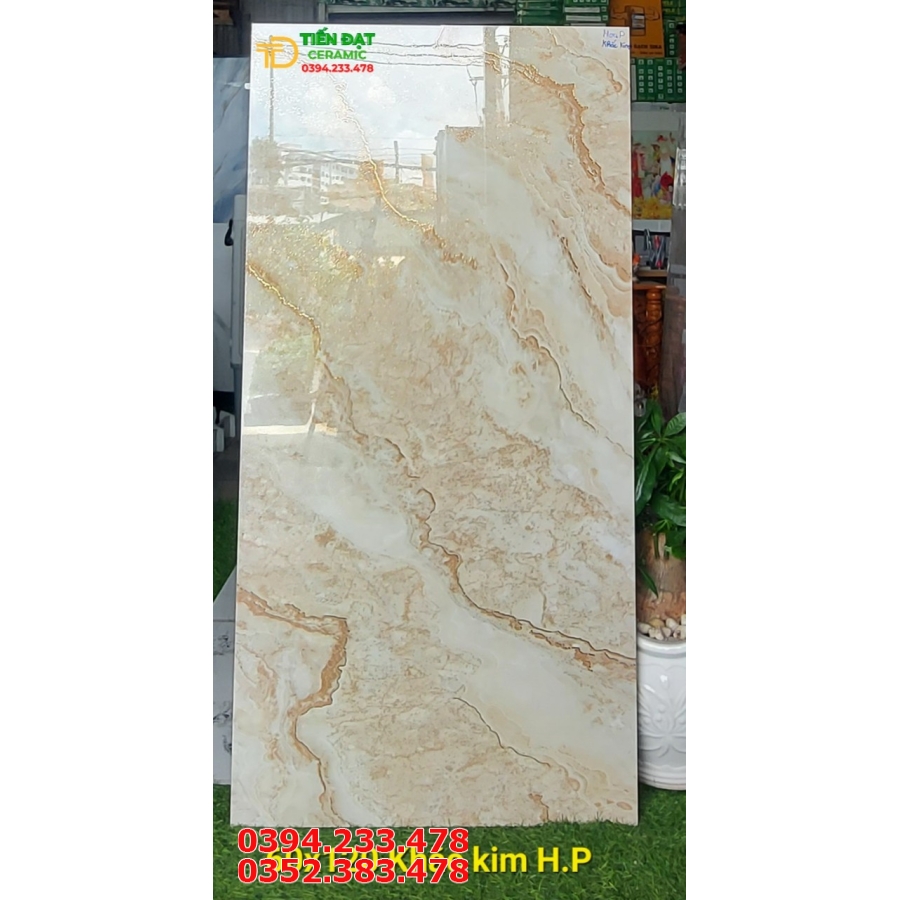 Gạch Cao Cấp 60x120 Trắng Vân Khắc Kim 