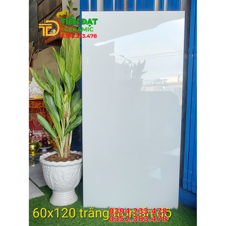 Gạch Bóng Kiếng 60x120 Trắng Trơn TQ