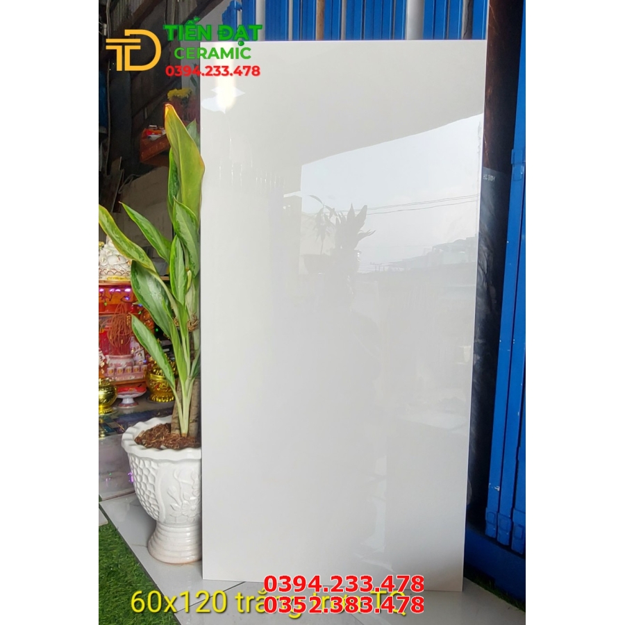 Gạch Bóng Kiếng 60x120 Trắng Trơn TQ
