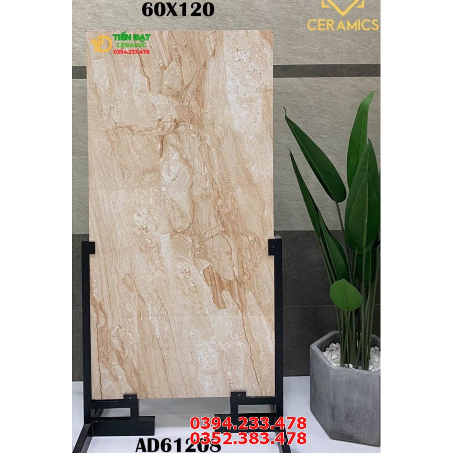 Gạch Ốp Lát Biệt Thự 60x120 Ấn Độ Cao Cấp