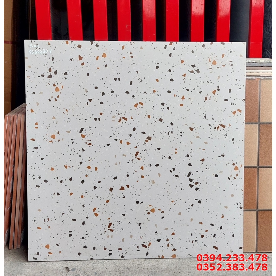 Top 258 Mẫu Gạch Đá Mờ Terrazzo 60x60 Cao Cấp
