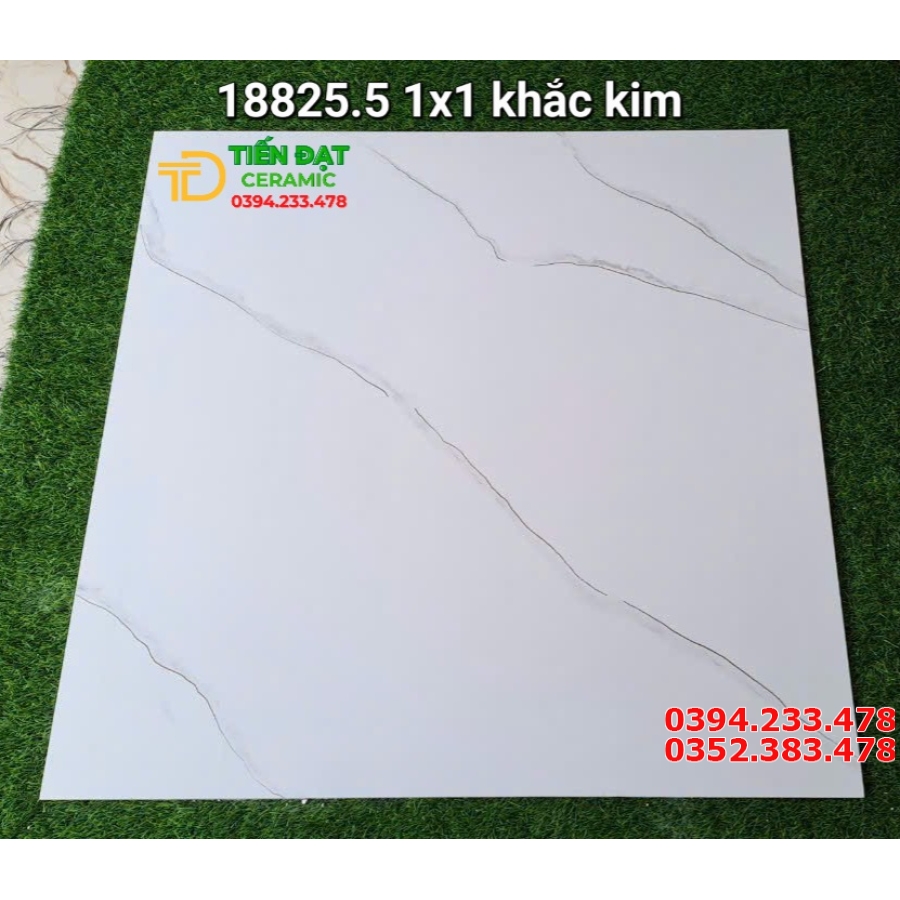 Top 10 Mẫu Gạch Lát Phòng Khách 100x100 Ánh Kim
